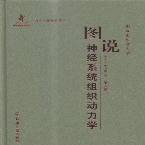 圖說神經系統組織動力學