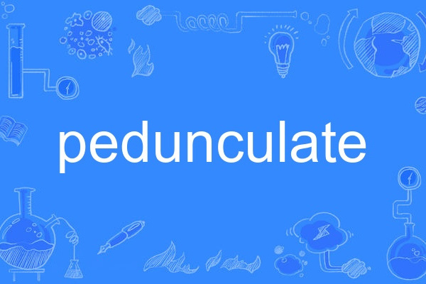 pedunculate