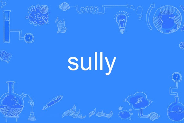 Sully(英語單詞)