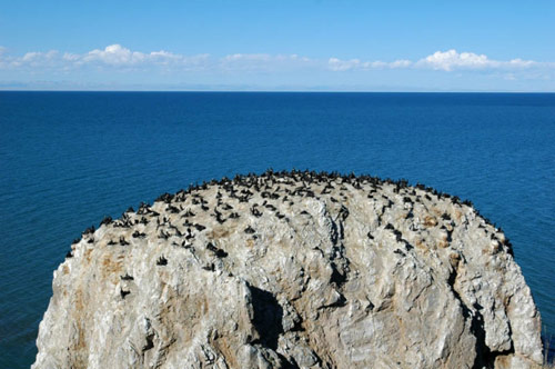 海西皮島