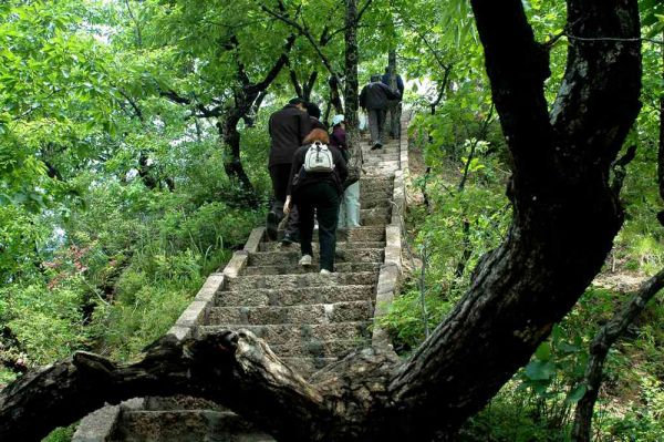 李景堂(烈士李景堂)