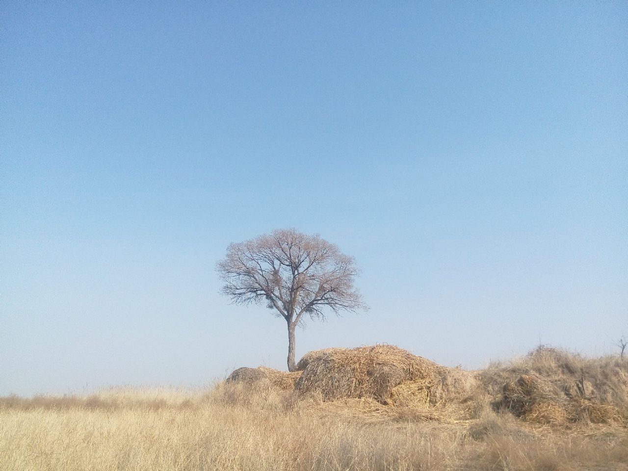 溫圪勞村