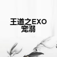 王道之EXO寵溺