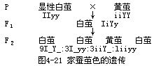 修飾基因例子-家蠶