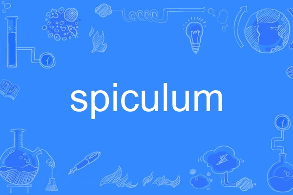 spiculum