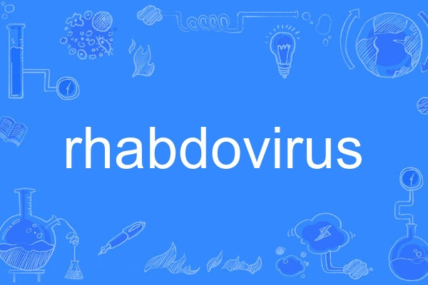 rhabdovirus