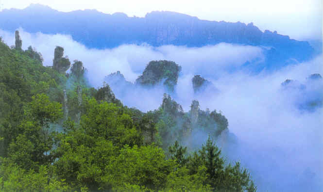 湖南張家界砂岩峰林國家地質公園