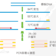 人犬共患疾病