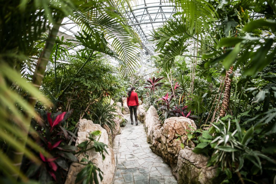 金川植物園