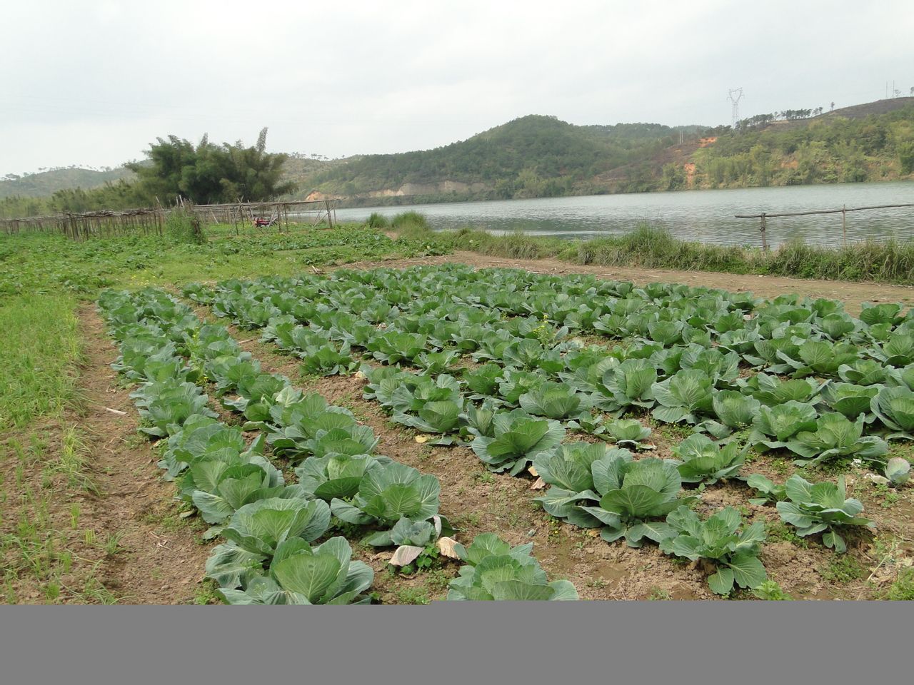 平灘村