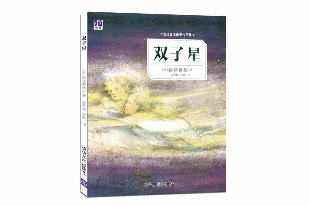 雙子星(2016年清華大學出版社出版的圖書)