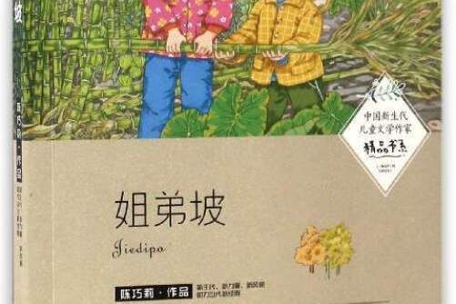 中國新生代兒童文學作家精品書系：姐弟坡