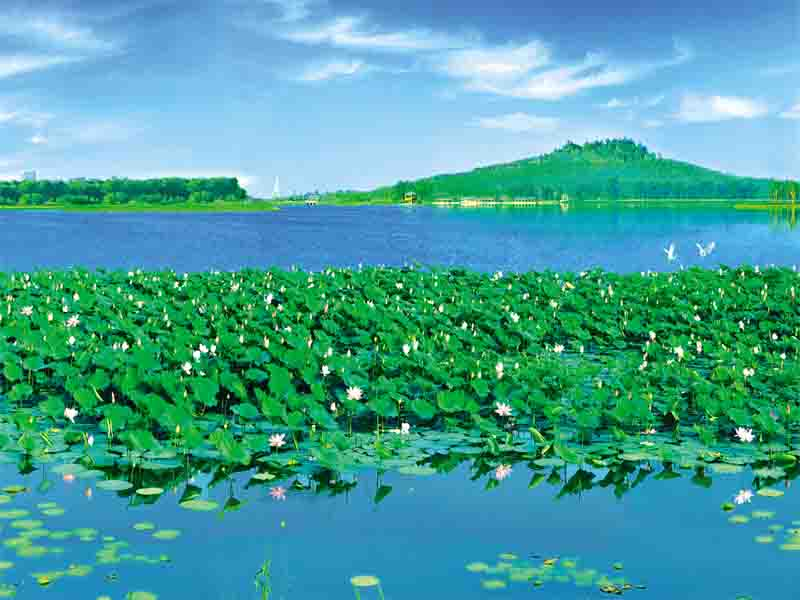 蓮花湖國家濕地公園