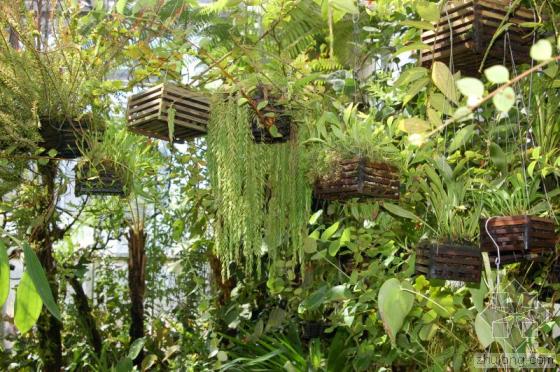 亞特蘭大植物園