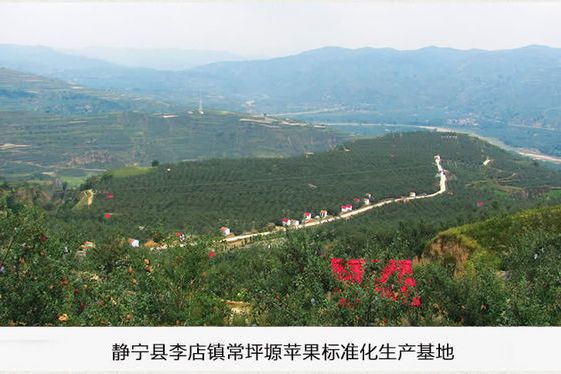 雷溝村(甘肅靜寧縣治平鎮管轄村)