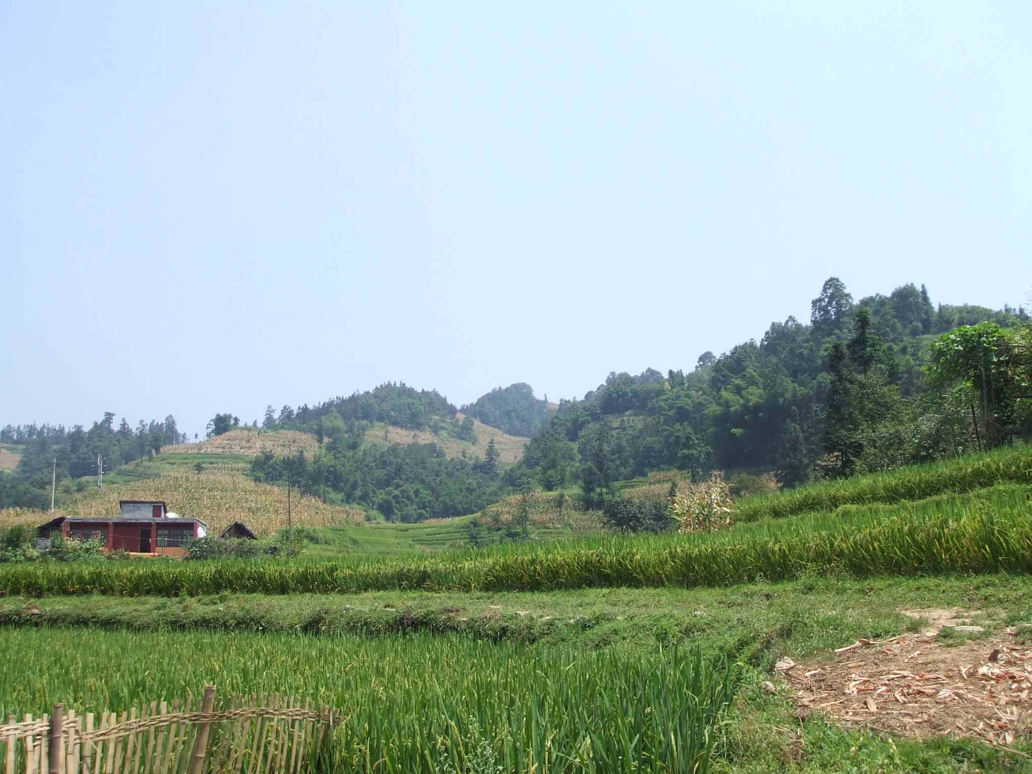 平等村(四川省筠連縣維新鎮下轄村)