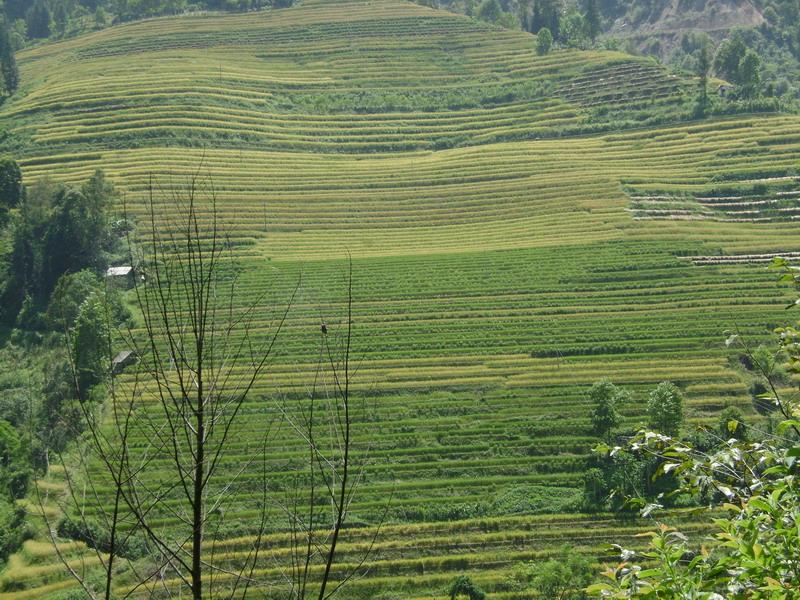 罵居迷上寨村