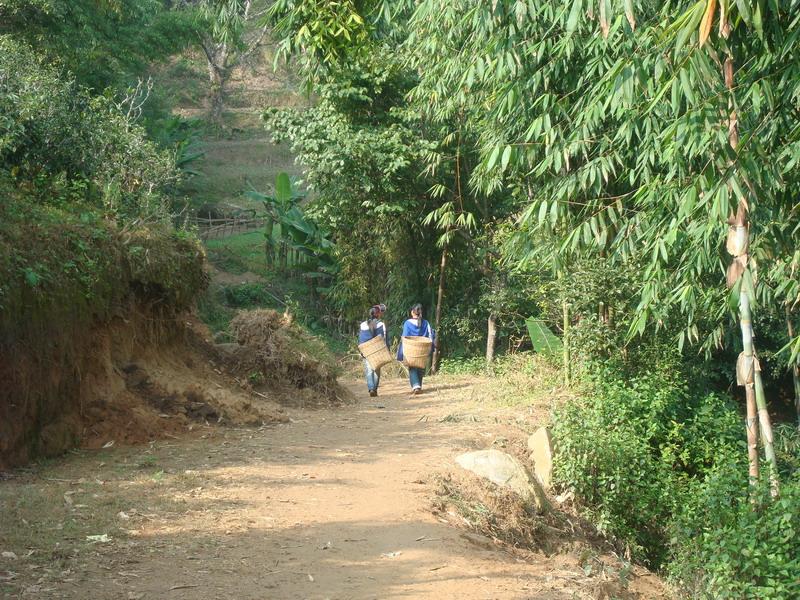 入村道路