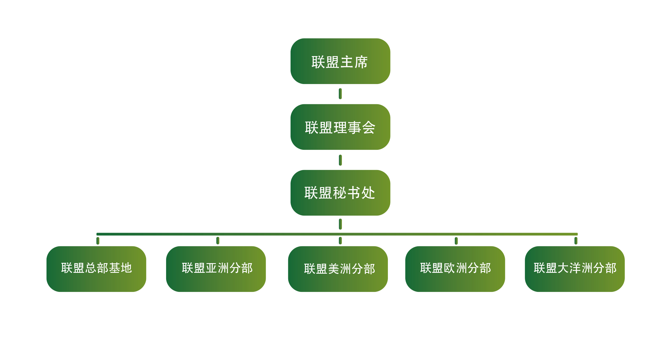 組織機構圖