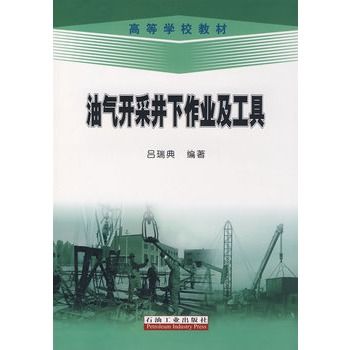 油氣開採井下作業及工具(高等學校教材·油氣開採井下作業及工具)