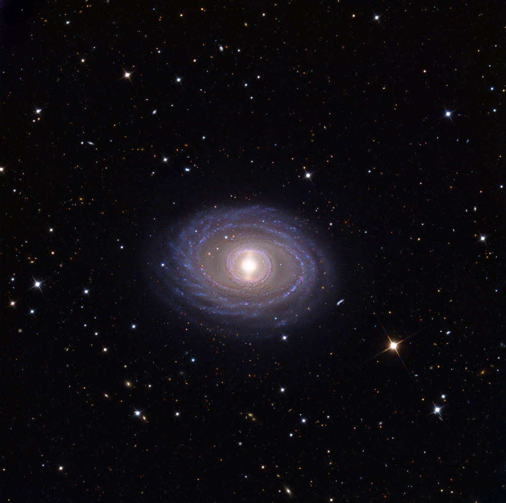 NGC 1398