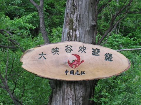 五常鳳凰山森林公園