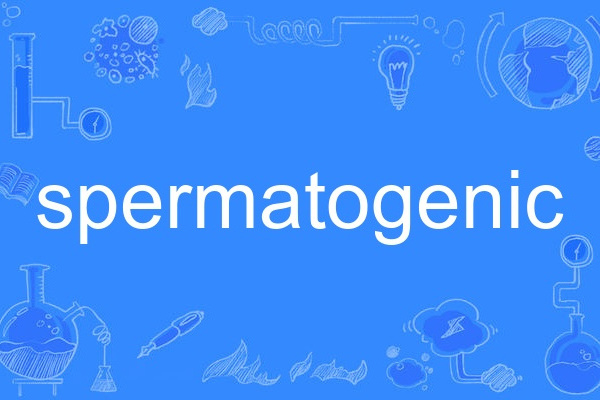 spermatogenic