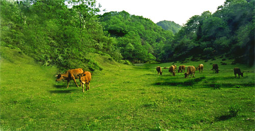 廣元水磨溝