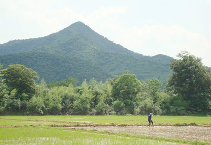 玉茶村