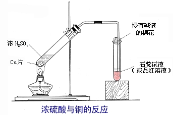 濃硫酸