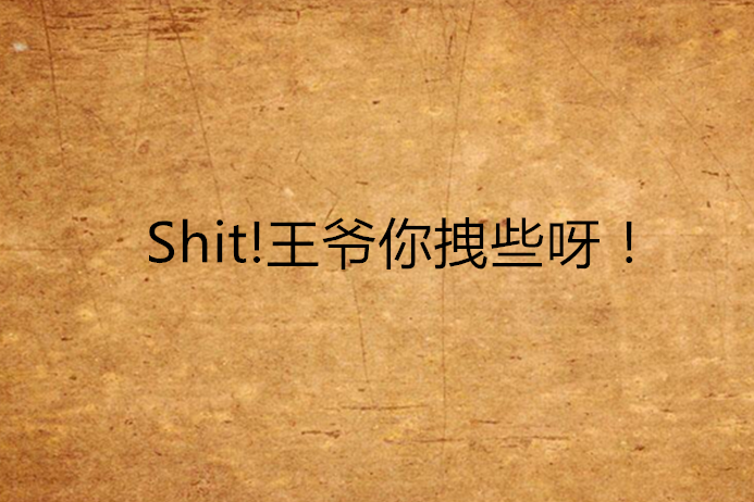 Shit!王爺你拽些呀！