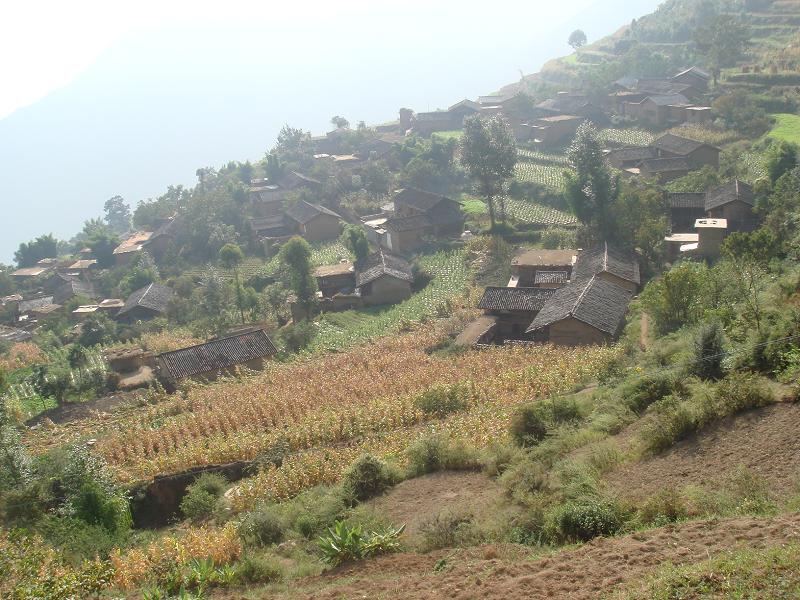 大坪子村(黔西南布依族苗族自治州大坪子村)