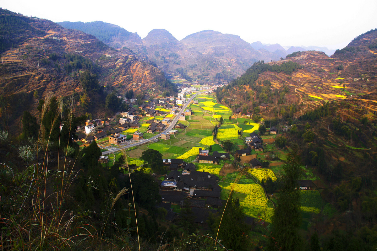 燎炬村全景