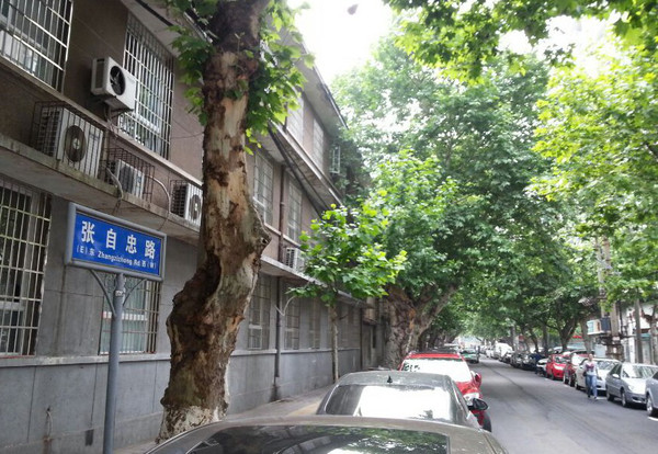 張自忠路(北京市下轄街道)