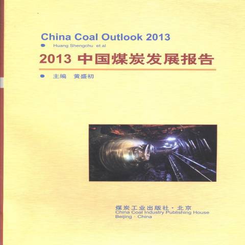 2013中國煤炭發展報告