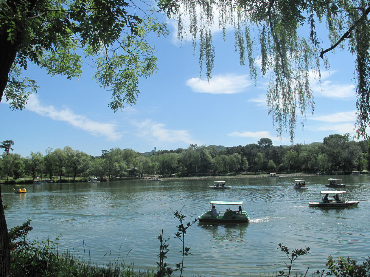 藍湛湛