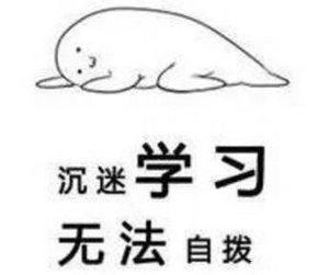 沉迷學習