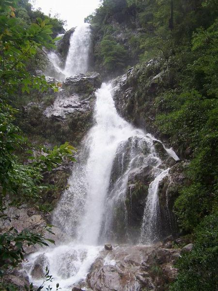 箬寮原始林景區