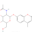 4-甲基傘形酮-2-乙醯氨基-2-脫氧-β-D-吡喃葡萄糖苷