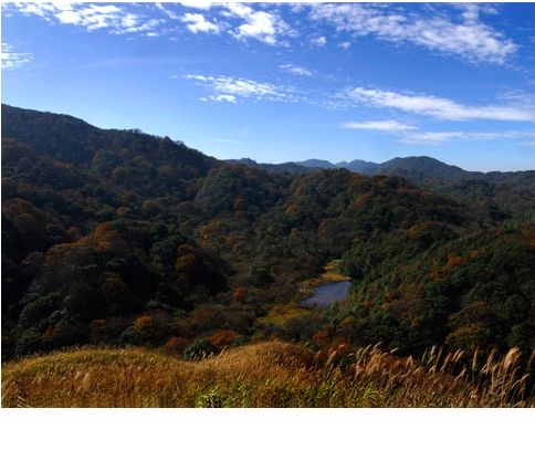 台江國家森林公園