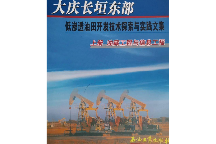 大慶長垣東部低滲透油田開發技術探索與實踐文集