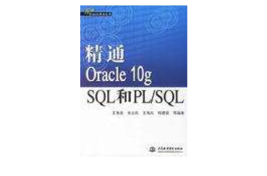 精通Oracle 10g SQL和PL/SQL