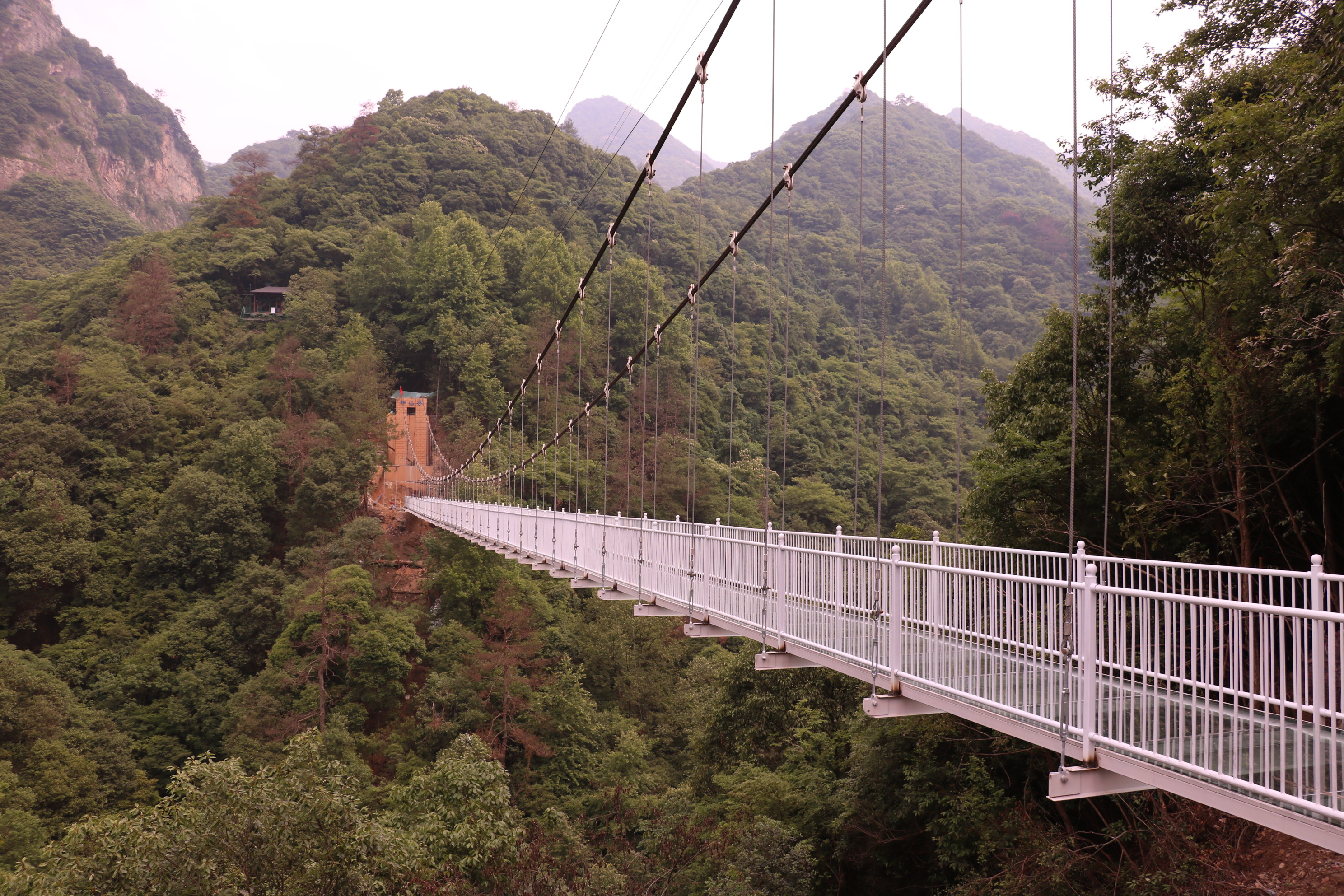 醉山野玻璃橋