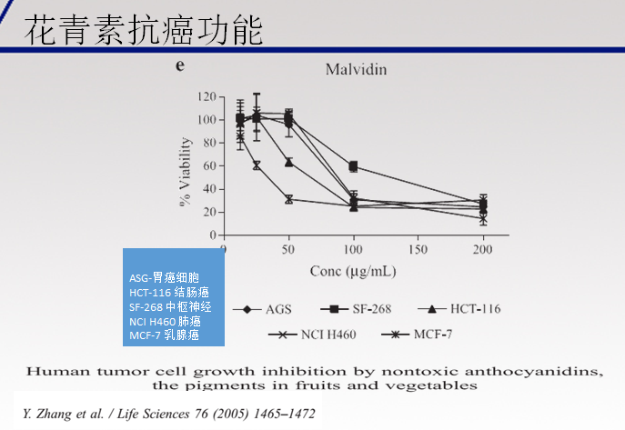 紫甘薯花青素