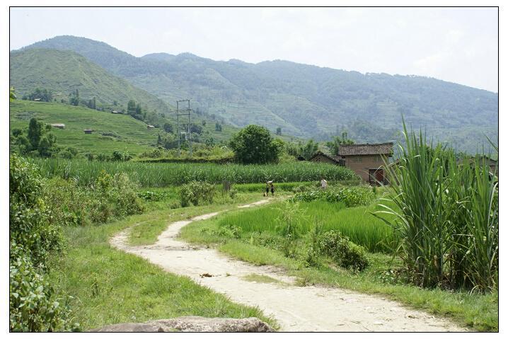 蠻歧田自然村