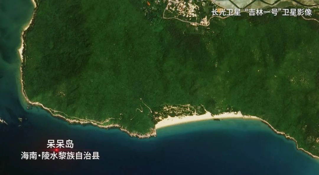 呆呆島