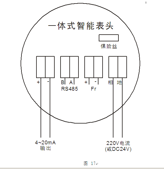 進源插入式電磁流量計