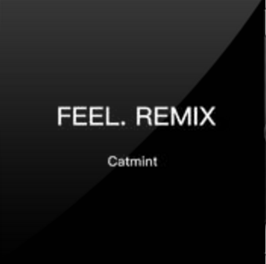 FEEL. REMIX