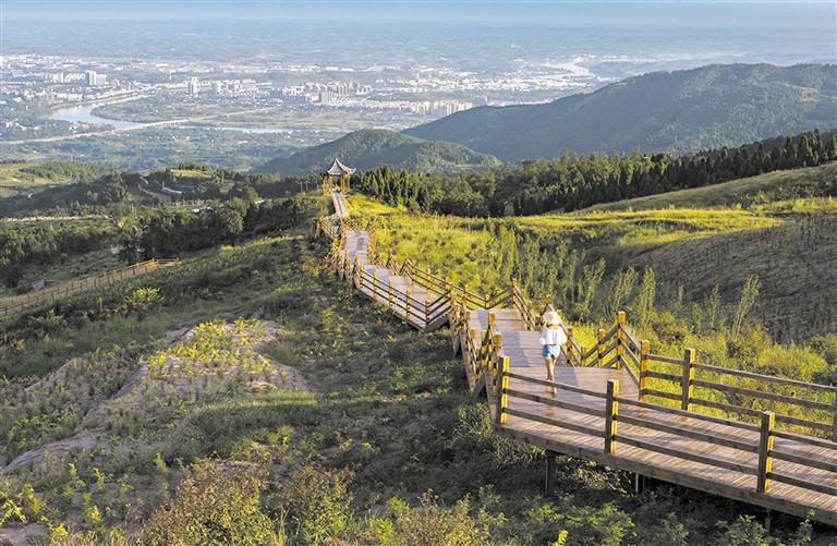 油園村(惠安縣油園村)