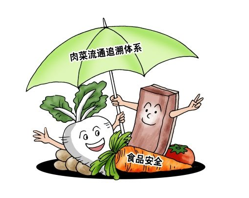 關於肉類蔬菜流通追溯體系建設試點指導意見的通知